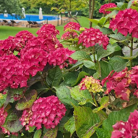 Palacion De Szálloda