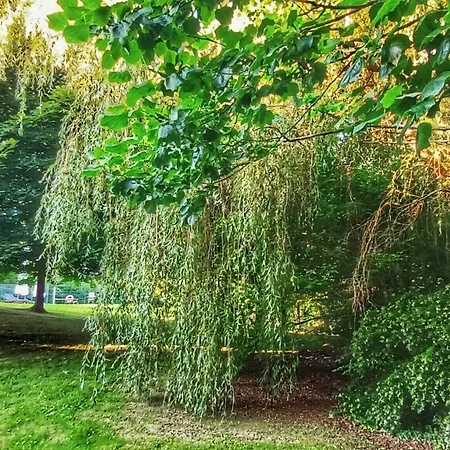 Palacion De Toñanes