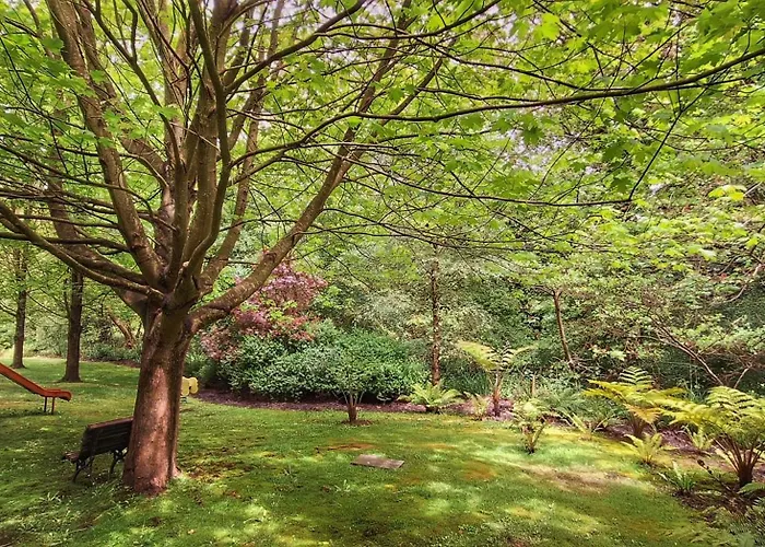 酒店 Palacion De 3*