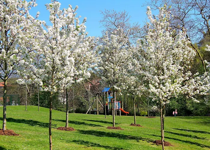 Palacion De 3* Toñanes