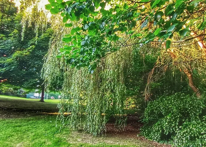 Palacion De Toñanes