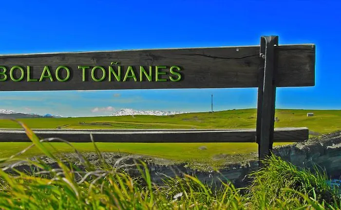 Hotel Palación De Toñanes